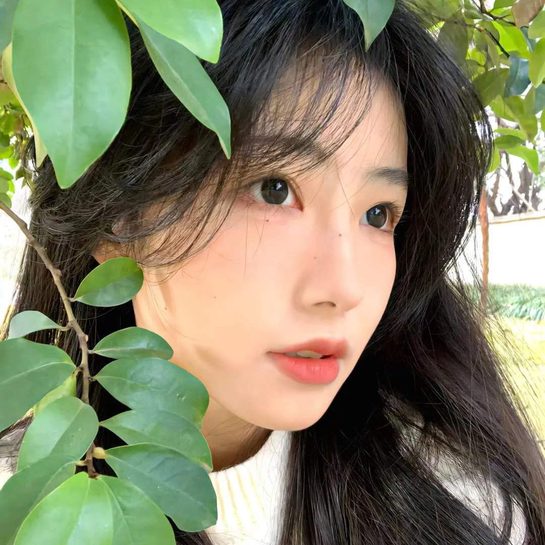 上海幻梦